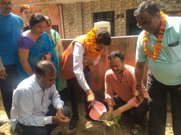 लोकमंच मानसरोवर की ओर से पौधरोपण कार्यक्रम आयोजित