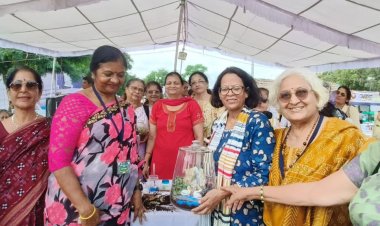 प्लांट्स के लिए लोगों ने पसंद किए कस्टमाइज्ड कवर 