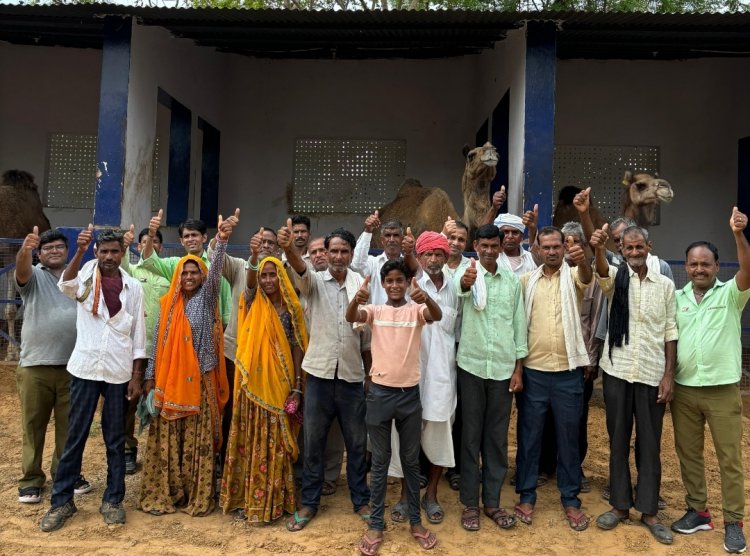 World Camel Day: 23 वर्षों से ऊंट स्वास्थ्य कार्य का मनाया जश्न
