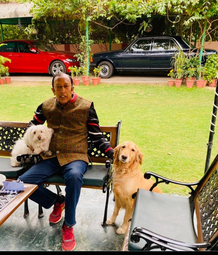 international dog day: लीज़ा और लैला – मेरी जिंदगी का अनमोल हिस्सा"