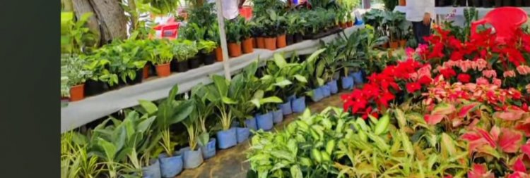 जवाहर कला केन्द्र में तीन दिवसीय गार्डन बाजार 5 सितम्बर से