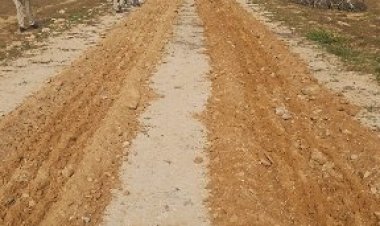 JDA news: जयपुर विकास प्राधिकरण की बड़ी कार्रवाई: सड़क सीमाएं अतिक्रमण मुक्त, दो अवैध कॉलोनियां ध्वस्त