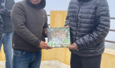 टी20 कप्तान सूर्यकुमार यादव का जंगल अनुभव, झालाना लेपर्ड सफारी ने किया मंत्रमुग्ध