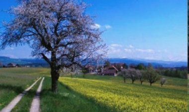 Rajasthan Weather Update: राजस्थान में बदला मौसम का मिजाज: 8 जिलों में आंधी-बारिश का अलर्ट, बादलों से हीटवेव से मिली राहत