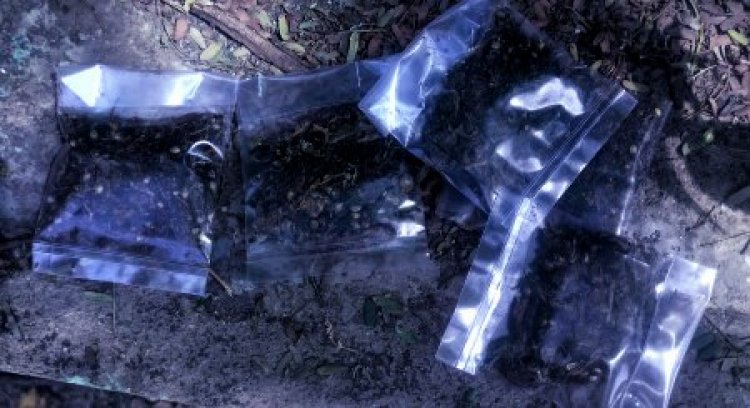 ‘एंटी-वेनम’ का जोरदार वार: जयपुर रेंज में नशे के खिलाफ पहली ही कार्रवाई में 15 गिरफ्तार