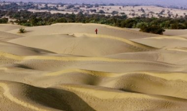  “रेगिस्तान में हरियाली का संकल्प” : जैसलमेर में 3666 हेक्टेयर ओरण भूमि आरक्षित, परंपरा और प्रकृति का अनोखा संगम