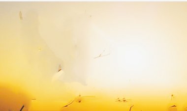 लू के थपेड़ों पर ‘कूल’ फैसला: जयपुर में बदला स्कूल टाइम, नौनिहालों को राहत की ठंडी छांव!