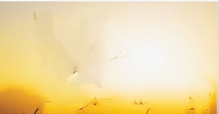 Heatwave Hits, Jaipur Acts Fast: Cool School Hours Announced to Shield Young Minds from Scorching Sun!