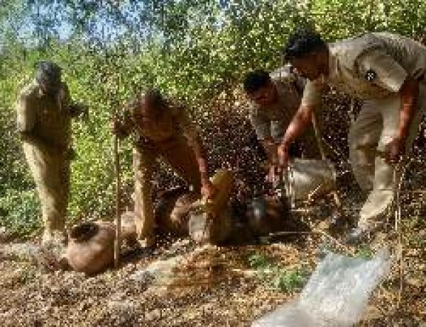अवैध शराब के खिलाफ प्रदेशभर में बड़ा एक्शन