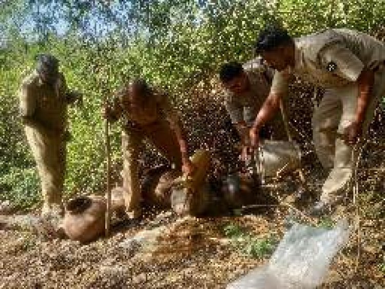 अवैध शराब के खिलाफ प्रदेशभर में बड़ा एक्शन