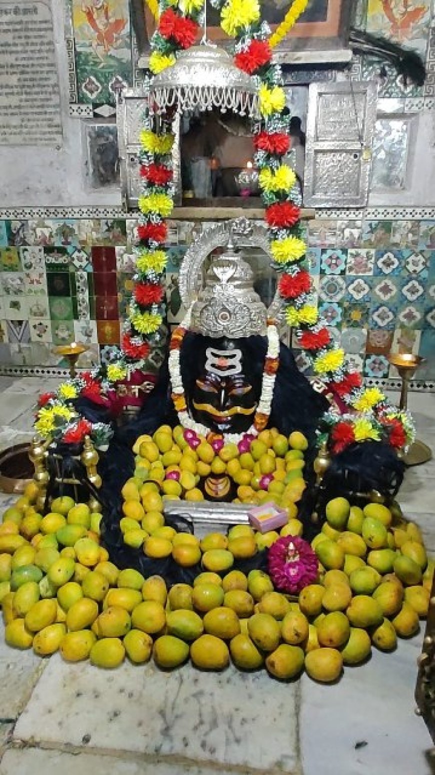 प्रधानमंत्री की उपस्थिति में सोमनाथ से होगा लाइव प्रसारण, राजस्थान के 41 जिलों में विशेष धार्मिक कार्यक्रम