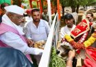 राज्यपाल बागडे ने गायों को खिलाया चारा, फिर भागवत कथा में बैठकर सुनी श्रीकृष्ण की अमर लीलाएं