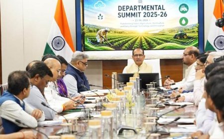'आपदा को बनाएं अवसर': शिवराज सिंह चौहान का बड़ा प्लान, बिहार की लीची से लेकर पूर्वोत्तर के मसालों तक होगा एक्सपोर्ट बूस्ट