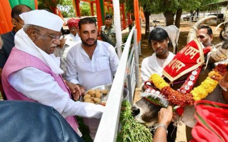 राज्यपाल बागडे ने गायों को खिलाया चारा, फिर भागवत कथा में बैठकर सुनी श्रीकृष्ण की अमर लीलाएं