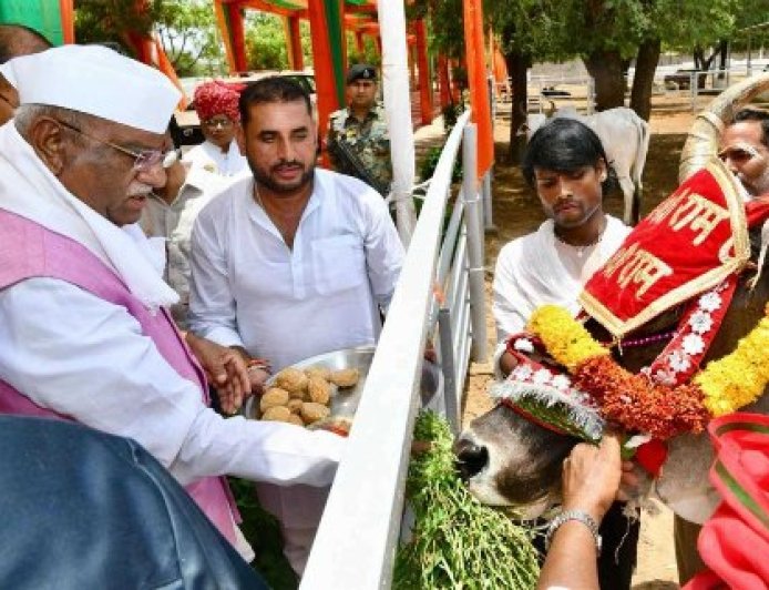 राज्यपाल बागडे ने गायों को खिलाया चारा, फिर भागवत कथा में बैठकर सुनी श्रीकृष्ण की अमर लीलाएं
