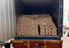 सफलता से किसानों की आय बढ़ने के साथ भारतीय Mango Export को भी 25 दिन समंदर में सफर... फिर भी 90% Mango Fresh! UAE पहुंची UP की पहली Sea Export खेप, किसानों की कमाई में बड़ा Game Changer