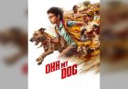 250 Dogs, One Big Heart: Pawan Malhotra Lands In Jaipur To Unveil The Secret Behind 'Oh My Dog'