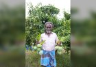 Maldives पहुंचा Karnataka का Neelam-Totapuri Mango, किसानों की Income में 50% से ज्यादा उछाल; APEDA की इस पहल ने खोल दिए Global Market के नए दरवाजे