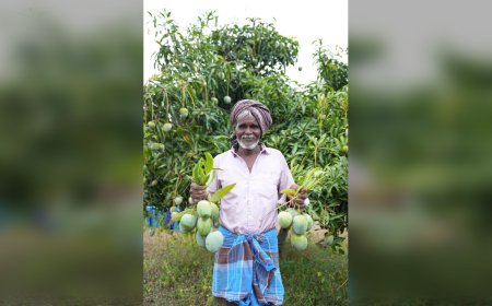 Maldives पहुंचा Karnataka का Neelam-Totapuri Mango, किसानों की Income में 50% से ज्यादा उछाल; APEDA की इस पहल ने खोल दिए Global Market के नए दरवाजे