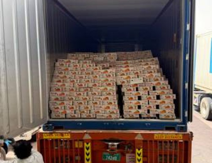 सफलता से किसानों की आय बढ़ने के साथ भारतीय Mango Export को भी 25 दिन समंदर में सफर... फिर भी 90% Mango Fresh! UAE पहुंची UP की पहली Sea Export खेप, किसानों की कमाई में बड़ा Game Changer