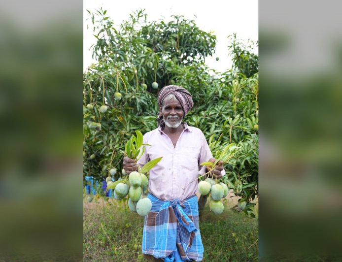 Maldives पहुंचा Karnataka का Neelam-Totapuri Mango, किसानों की Income में 50% से ज्यादा उछाल; APEDA की इस पहल ने खोल दिए Global Market के नए दरवाजे