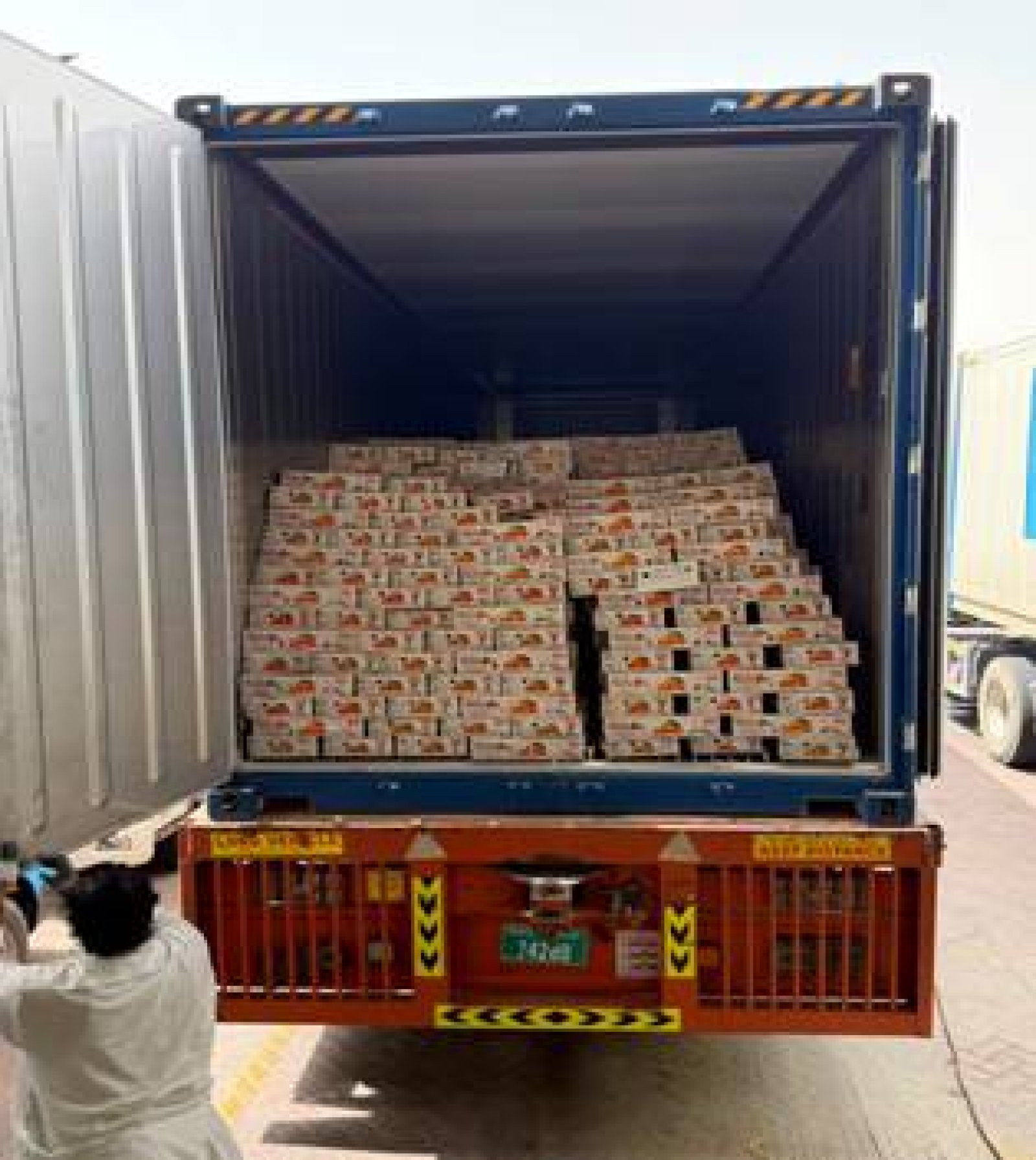 सफलता से किसानों की आय बढ़ने के साथ भारतीय Mango Export को भी 25 दिन समंदर में सफर... फिर भी 90% Mango Fresh! UAE पहुंची UP की पहली Sea Export खेप, किसानों की कमाई में बड़ा Game Changer