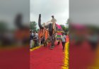 Elephants Dazzle in 62 Kg of Silver Jewellery as Amer's Elephant Village Hosts Royal Ramp Walk
