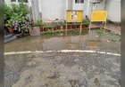 सांस्कृतिक संस्थाओं की बेहतरी के लिए कलाकारों की अपील, 26 अगस्त से रवीन्द्र मंच पर होगा शांतिपूर्ण अनशन