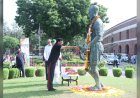 मंत्री खुद उतरे मैदान में! ध्यानचंद स्टेडियम में क्रिकेट खेलते नजर आए मांडविया, मीडिया इलेवन को दी शिकस्त