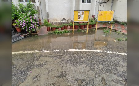 सांस्कृतिक संस्थाओं की बेहतरी के लिए कलाकारों की अपील, 26 अगस्त से रवीन्द्र मंच पर होगा शांतिपूर्ण अनशन