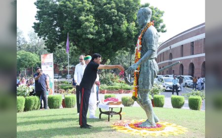मंत्री खुद उतरे मैदान में! ध्यानचंद स्टेडियम में क्रिकेट खेलते नजर आए मांडविया, मीडिया इलेवन को दी शिकस्त