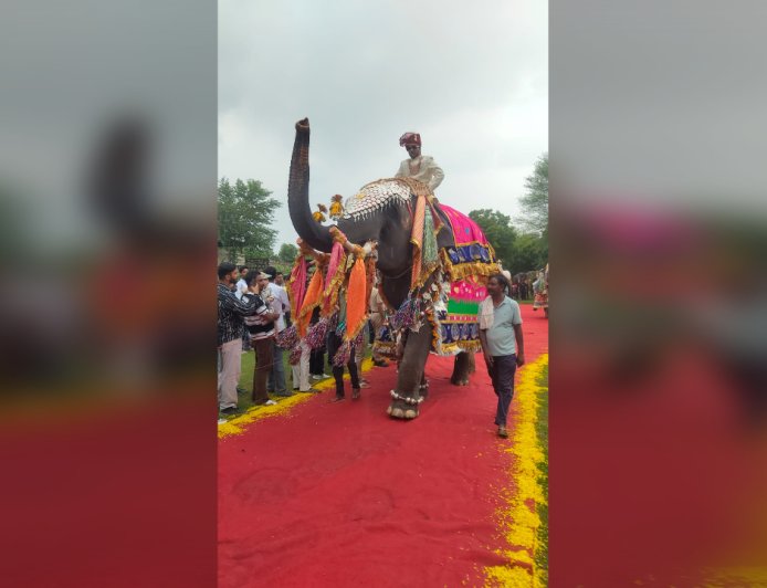 चांदी के गहनों से सजे हाथियों ने बिखेरा जलवा, आमेर के हाथी गांव में हुआ अनोखा रैंप वॉक