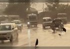 Jaipur Weather: Hailstorm से गिरा तापमान, जानें राजस्थान का हाल
