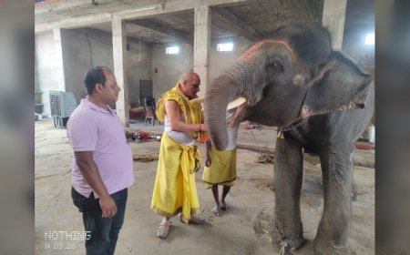 हाथी को गणेश स्वरूप मानकर हुई पूजा! आमेर के 'वीरु' के माथे पर सजा स्वस्तिक, देखते रह गए लोग