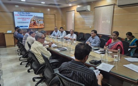 गायों पर मंडराया लंपी का खतरा, सरकार ने बुलाई सभी विभागों की इमरजेंसी बैठक, बनाई पूरी रणनीति