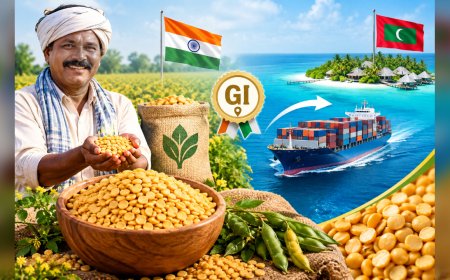 60 नहीं, अब 82 रुपए किलो! कर्नाटक की तुअर दाल ने मालदीव में मचाई धूम, किसानों की चमकी किस्मत