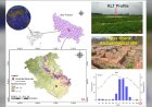Monsoon Variability का 4600 साल का इतिहास: BSIP की Karela Lake Study में खुले जलवायु और कृषि अनुकूलन के राज