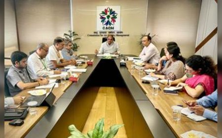 Delhi Dust Pollution: CAQM ने MCD के सभी 12 जोन की तैयारियों की समीक्षा की